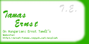 tamas ernst business card